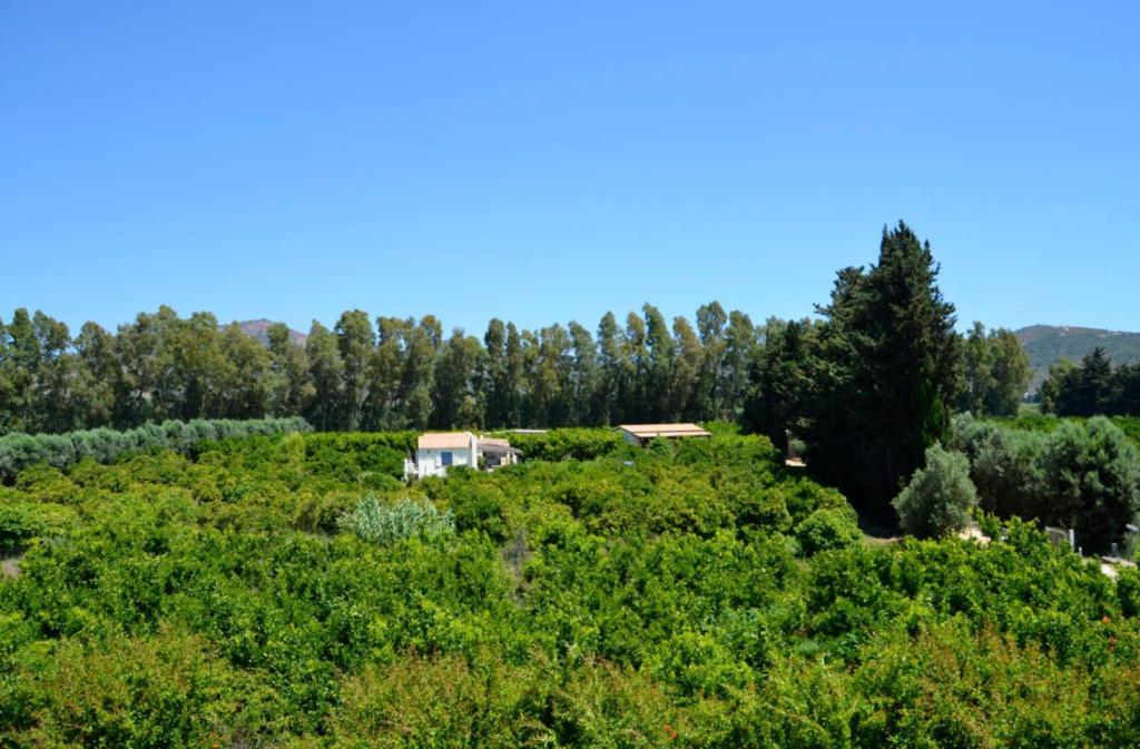 Luna&Limoni Country Muravera Bagian luar foto