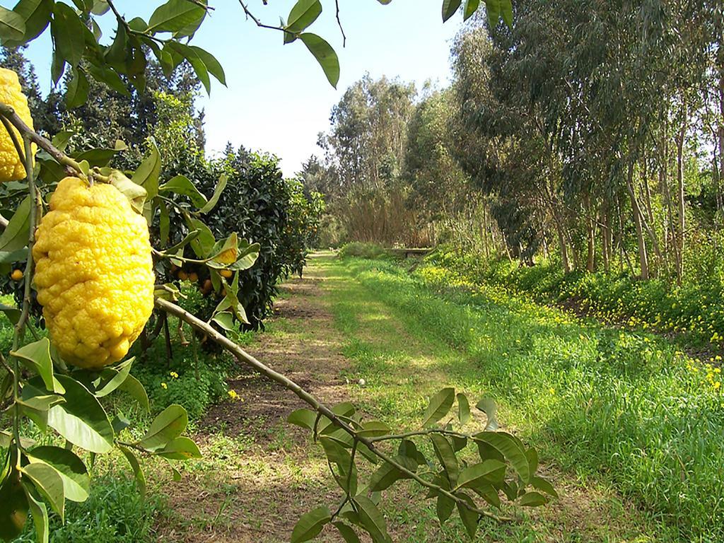 Luna&Limoni Country Muravera Bagian luar foto