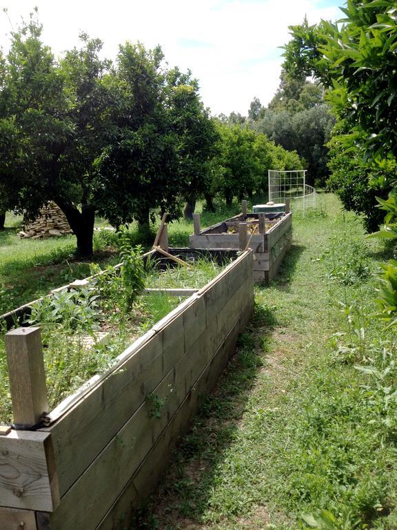 Luna&Limoni Country Muravera Bagian luar foto